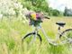 Ad Asti domenica 12 maggio si pedala a favore di Aism