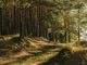 Una legge regionale per il settore forestale