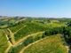 Ferraris Agricola presenta Opera Prima Riserva 2017