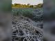 La brina in Val Rilate (Foto Dati Meteo Asti)