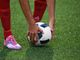 Due giornate dedicate allo sport e all'inclusione con il Castigliano di Asti