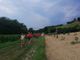 Nordic Walking Asti: le camminate in programma dall'8 al 13 luglio