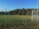 Il campo di Quarto