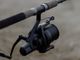Pesca sportiva a Castello d'Annone, la Provincia approva il calendario delle competizioni [PROGRAMMA]