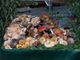 Cervasca: al via la Sagra dei “Pisacan”: colori, sapori e suoni dell’autunno