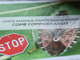 Moria del kiwi, cimice asiatica e &quot;Popilla Japonica&quot;: all'Agrion si fa il punto su tre emergenze fitosanitarie piemontesi (VIDEO)