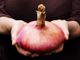 Alla cooperativa Rava e Fava di Asti parte l'attesa cooperazione con i presìdi Slow Food