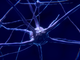 Cervello e computer collegati da un circuito neurale 3D