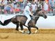 Dino Pes, qui vincitore del Palio 2019 per la Cattedrale