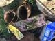 A Maretto, il gruppo &quot;Gesto minimo&quot;, bonifica minidiscarica nei pressi del rio Triversa