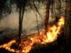 Al via la campagna estiva di Anas per la prevenzione degli incendi
