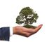 Fridays for Future Asti: &quot;L'Europa nascosta sotto una maschera verde continua a negarci il nostro futuro&quot;