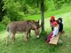 Bimbi in una fattoria didattica