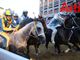 Finale Palio 2019 (MerfePhoto)