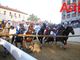 &quot;Parla meglio chi meglio sa tacere&quot;. La replica dei Comuni, dopo il Consiglio del Palio