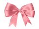 Asti: fiocco rosa in Consiglio comunale