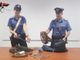 Romeno 26enne sorpreso a rubare cavi di rame nell'ex Way Assauto: arrestato