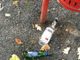 Rissa tra ubriachi tra corso Cavallotti e i giardini, intervenuta polizia e 118