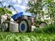 4 tip per scegliere un giardiniere Roma