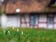 Come arredare il giardino senza lasciare nulla al caso