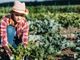 Ismea “Generazione Terra”: fino al 100% di sostegno ai giovani agricoltori per l’acquisto di terreni