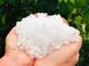 Grandine a Mombaldone - foto di Mariangela Bonifacino da Dati Meteo Asti