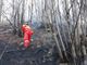 Incendi boschivi, il Piemonte invia due colonne mobili in Calabria e Sicilia