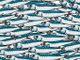 Viviamo in un posto bellissimo: le Sardine di Alfieri