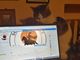 &quot;Lo so che ho più follower io in 24 h che voi in un anno. Salutate la gattolista&quot; scrivono Malandrone e la gatta Libera nel post che accompagna questa immagine