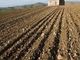 Confagricoltura Piemonte interviene sulla nuova legge sul riordino delle norme in agricoltura