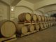 Grande successo per la giornata di &quot;Cantine Aperte&quot; alla Cantina Sociale Terre Astesane [VIDEOGALLERY]