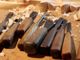 Riprende, dopo il lockdown, anche il progetto regionale ‘Bottega Scuola’