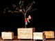 La &quot;Mezza Stagione&quot; costigliolese proseguirà con un poetico spettacolo di teatro di figura