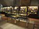 Una delle sale del Museo Paleontologico