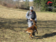 Cani antiveleno dei Carabinieri Forestali in azione a San Damiano d’Asti