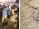 Immagini per gentile concessione di Efrem Zanchettin - MerfePhoto