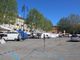 Il mercato di piazza Alfieri