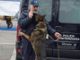 Dai canili al lavoro con la Polizia penitenziaria. Ad Asti la scuola nazionale per cani poliziotto (FOTOGALLERY)
