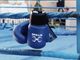 guantoni da boxe