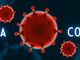 Emergenza coronavirus, individuate dall’ARPA Piemonte 17 strutture private che ospiteranno pazienti Covid-19