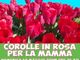 La festa della mamma e il &quot;compleanno&quot; di Palazzo Mazzetti tra gli eventi proposti da Asti Musei