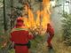 Incendio boschivo