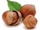 Noccioleto astigiano primo in investimenti. In dieci anni la superficie è raddoppiata
