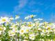 Gli E-venti di primavera &quot;soffiano&quot; bellezza