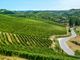 Nasce la Federazione Strade del Vino e dei Sapori del Piemonte