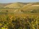 I vigneti di Langhe monferrato Roero