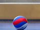Pallavolo