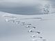 scia in neve fresca