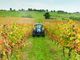Dall'Inps indicazioni per gli adempimenti delle aziende agricole Dall'Inps indicazioni per gli adempimenti delle aziende agricole