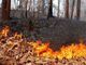 Campagna invernale antincendi boschivi: prosegue l'attività della Regione